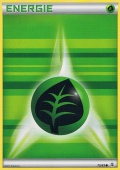 Pflanzenenergie aus dem Set XY Generationen